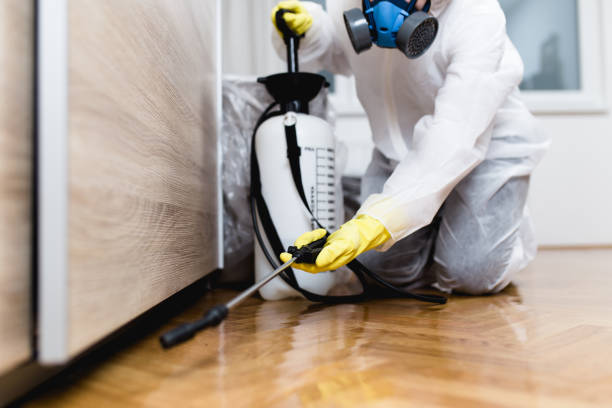 Best Bed Bug Extermination  in Earlysville, VA