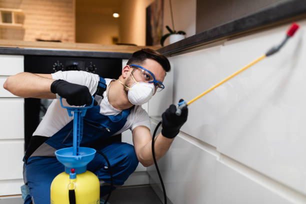 Best Residential Pest Control  in Earlysville, VA