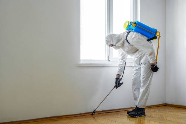 Best Flea Control Services  in Earlysville, VA