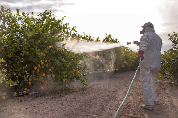 Best Commercial Pest Control Services  in Earlysville, VA