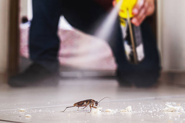 Best Best Pest Control Companies  in Earlysville, VA