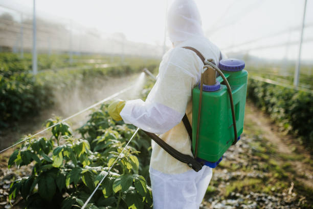 Best Local Pest Control Services  in Earlysville, VA